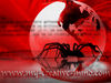 wallpaper1-1024.jpg